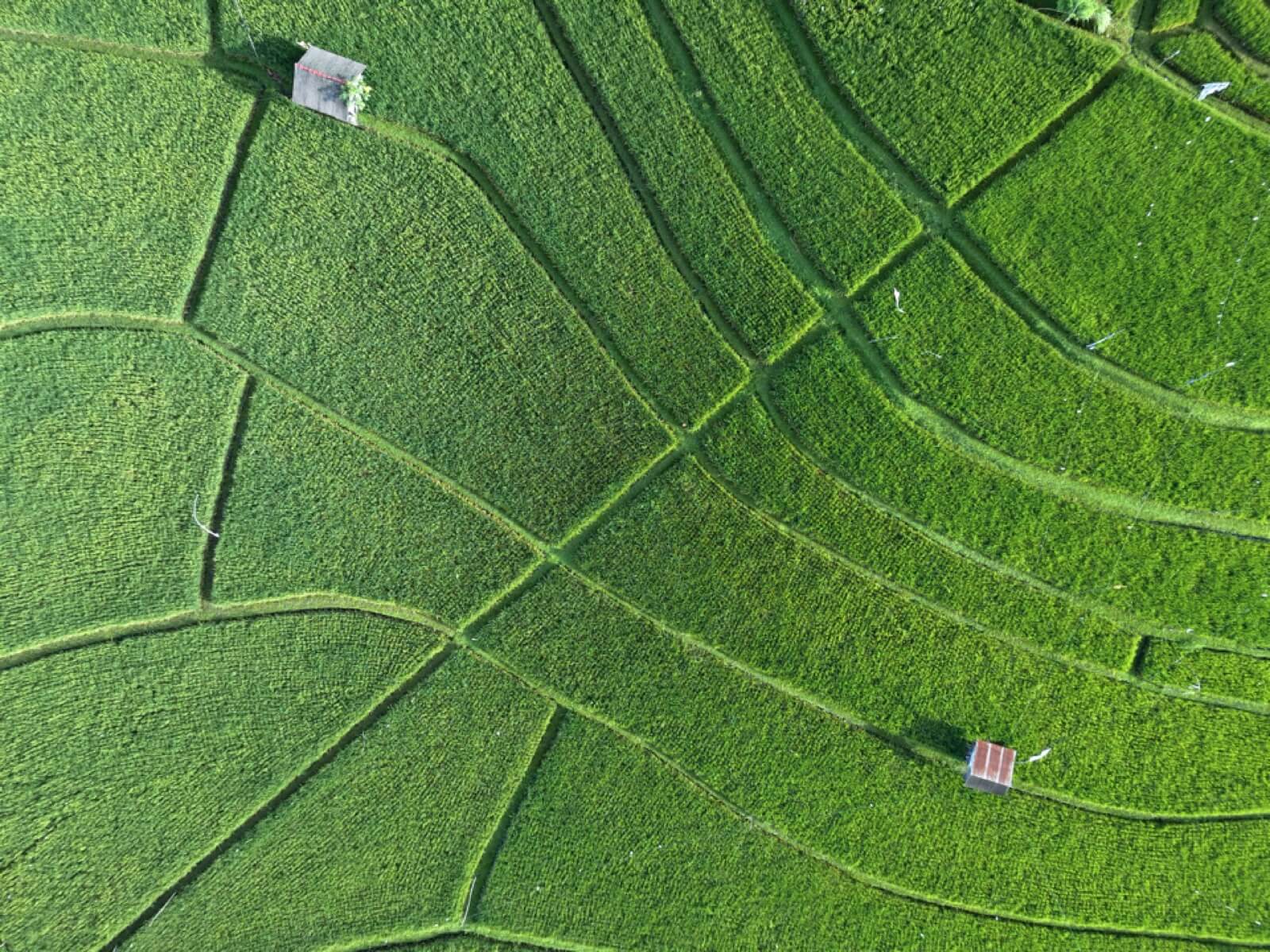 Фотография, сделанная на камеру DJI Mavic AIR