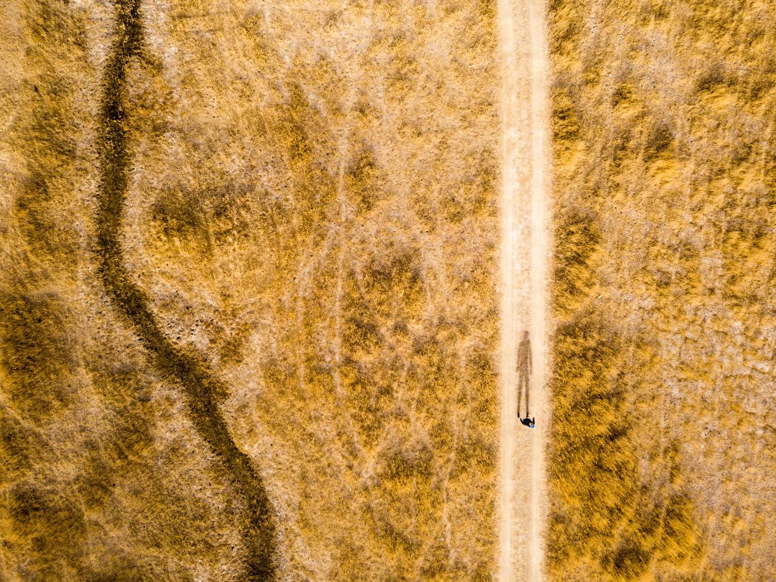Фотография, сделанная на камеру DJI Mavic AIR