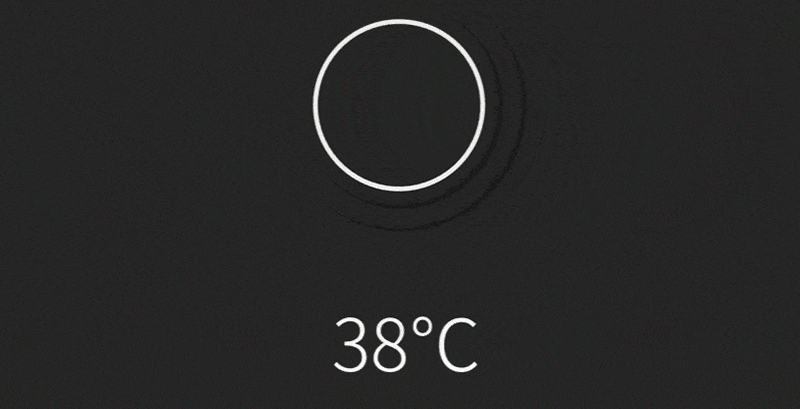Xiaomi Ninetygo Smart Heated Down Parka (L)