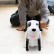 Радиоуправляемая робот-собака HappyCow Hip-Hop Pet 2.4G — 777-601 Black, фото 4