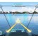 Квадрокоптер Walkera AiBao 4К FPV белого цвета с дополненной реальностью — AIBAOwhi, фото 9