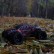 Радиоуправляемая машинка Remo Hobby RH1031 4WD RTR масштаб 1:10 2.4G — RH1031-BLUE, фото 11