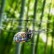 Вертолет на радиоуправлении Hubsan LAMA 5 DZ3000B, фото 2