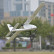 Радиоуправляемый самолет Volantex RC RangerEX 2000mm Brushless PNP — EXA75703P, фото 17