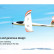 Радиоуправляемый планер Top RC T1800 (Propeller Power System) 1800мм KIT — top091A, фото 5